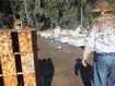 package bee yard